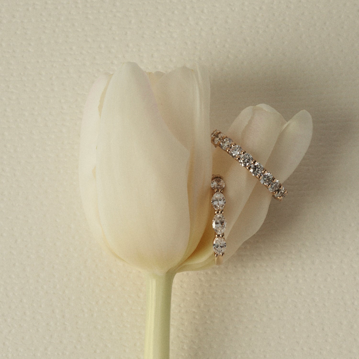 Pair of diamond wedding bands on a white tulip against a beige background