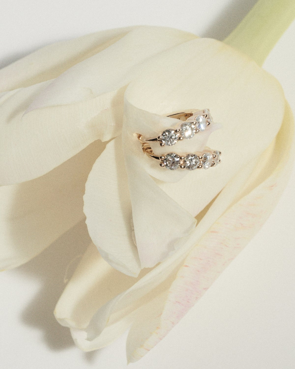 Pair of diamond earrings on a white tulip petal