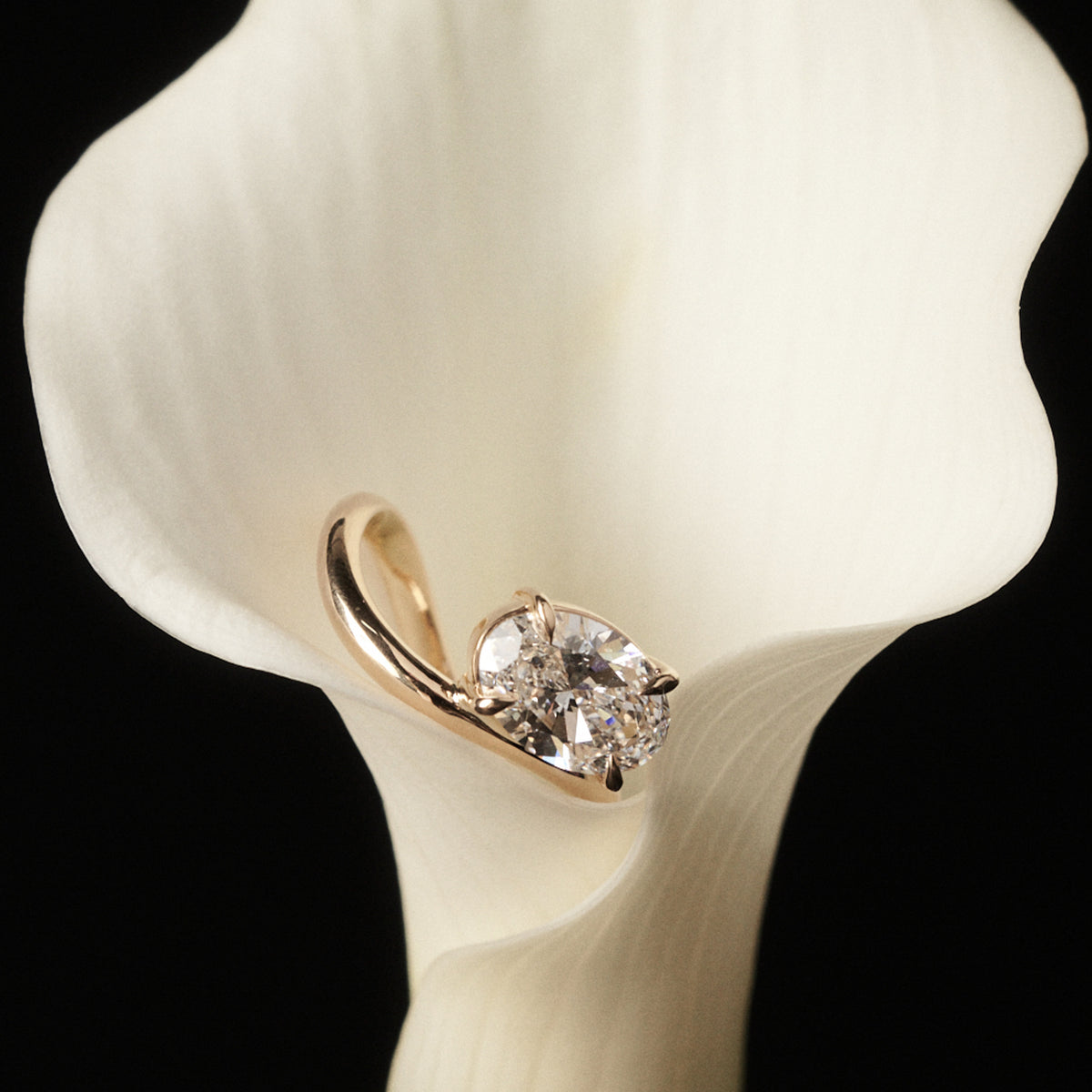 Gold ring with a diamond on a white calla lily against a black background