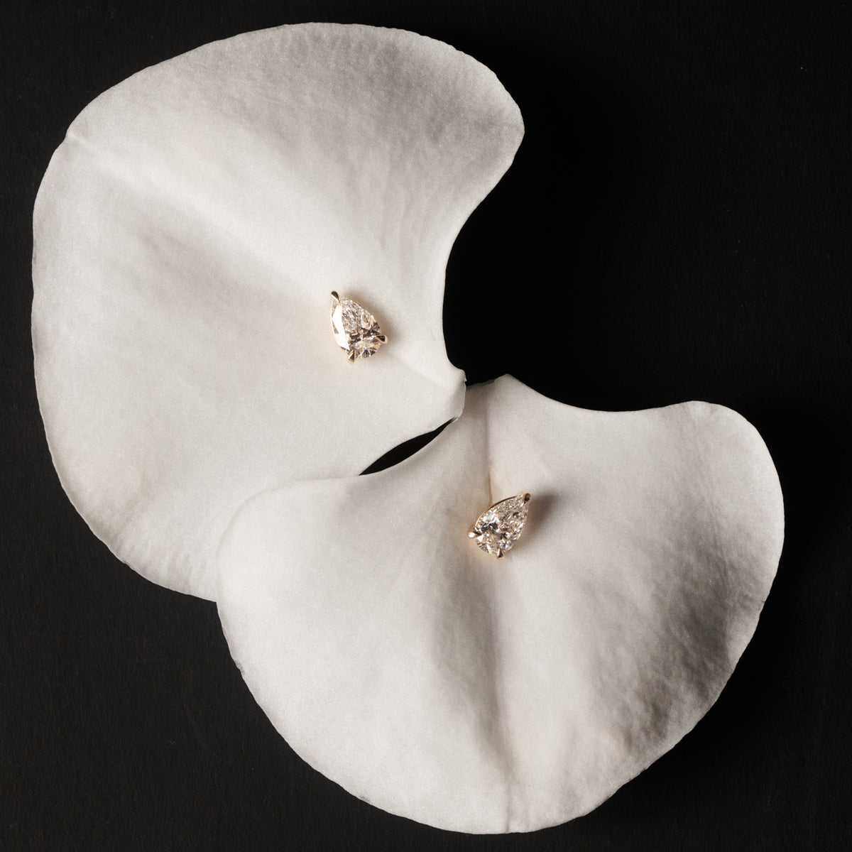 Pair of diamond earrings on a white petal with a black background [text overlay: The Lyla Studs in 1.5ct (0.75ct each)]