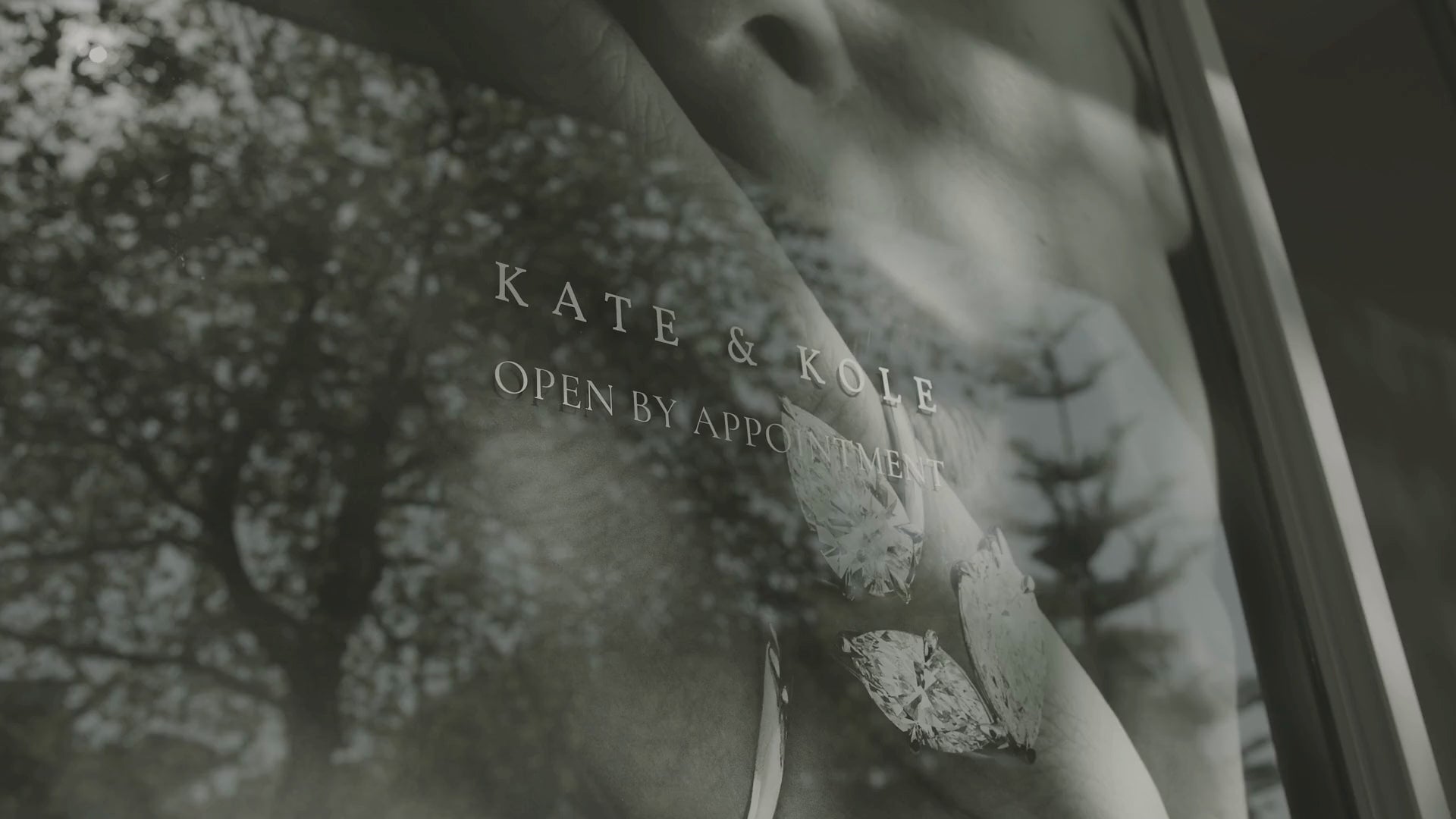 Kate & Kole video explaining their Diamond Sale.